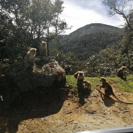 Aerizo Bungalow & Tours Nuwara Eliya Dış mekan fotoğraf