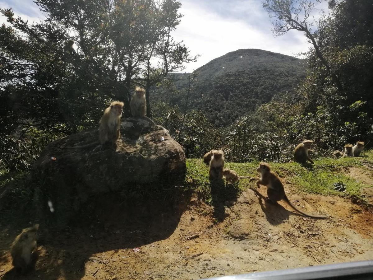Aerizo Bungalow & Tours Nuwara Eliya Dış mekan fotoğraf